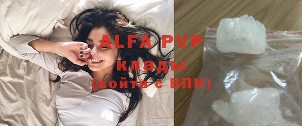 сатива Аркадак