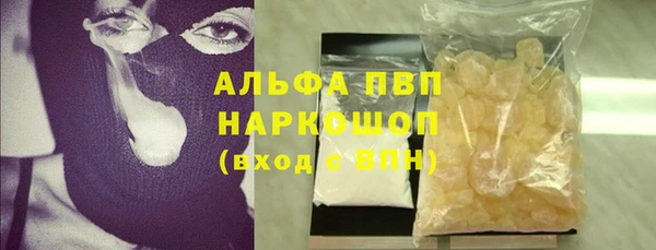 сатива Аркадак