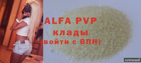 сатива Аркадак