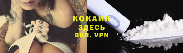 сатива Аркадак
