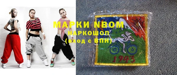 шишки Покачи