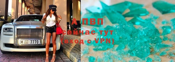 сатива Аркадак